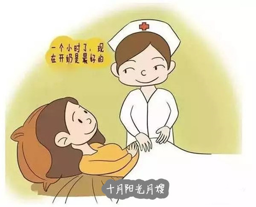 开奶找十月阳光