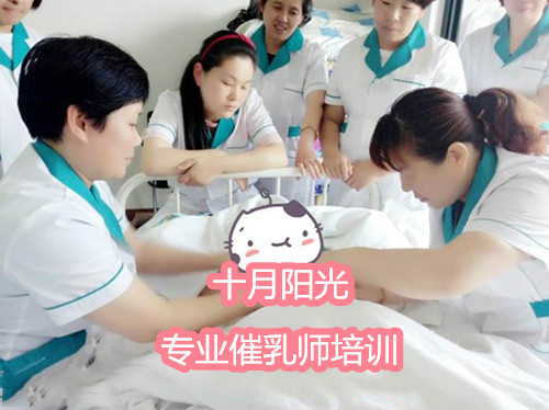 催乳师培训内容有哪些 做催乳师都需要学习什么知识 十月阳光