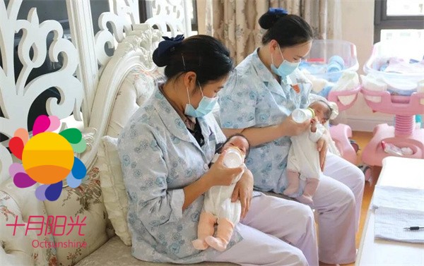 北京双胞胎家庭育儿嫂机构怎么选？专业推荐与避坑指南(图1)